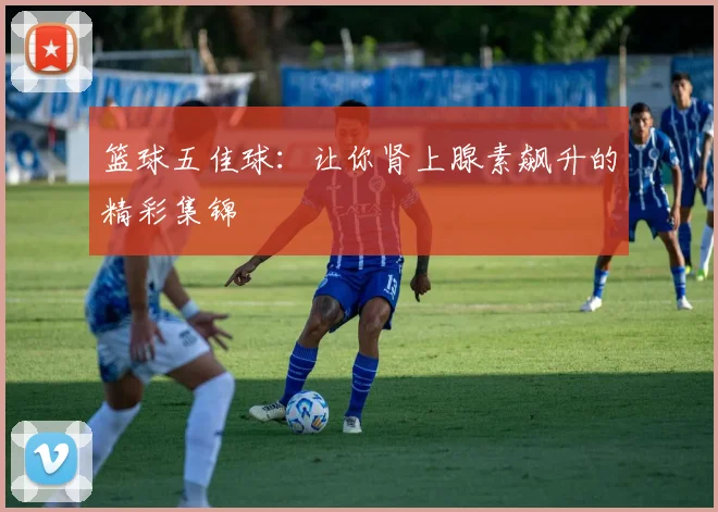 篮球五佳球：让你肾上腺素飙升的精彩集锦