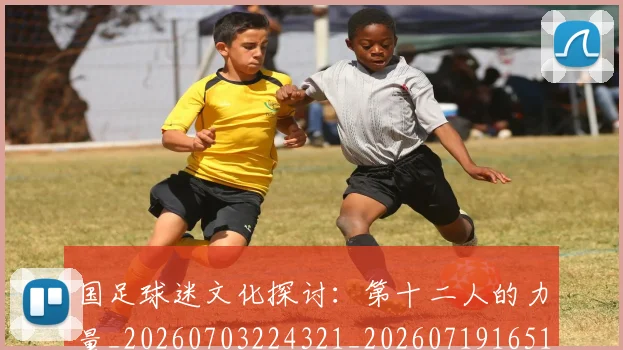 国足球迷文化探讨：第十二人的力量_20260703224321_20260719165125