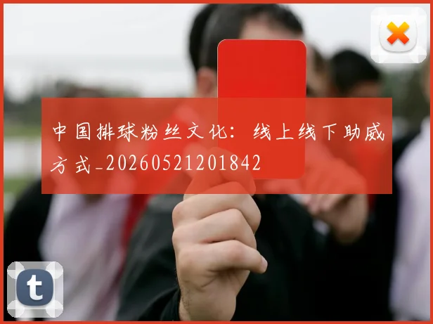 中国排球粉丝文化:线上线下助威方式_20260521201842