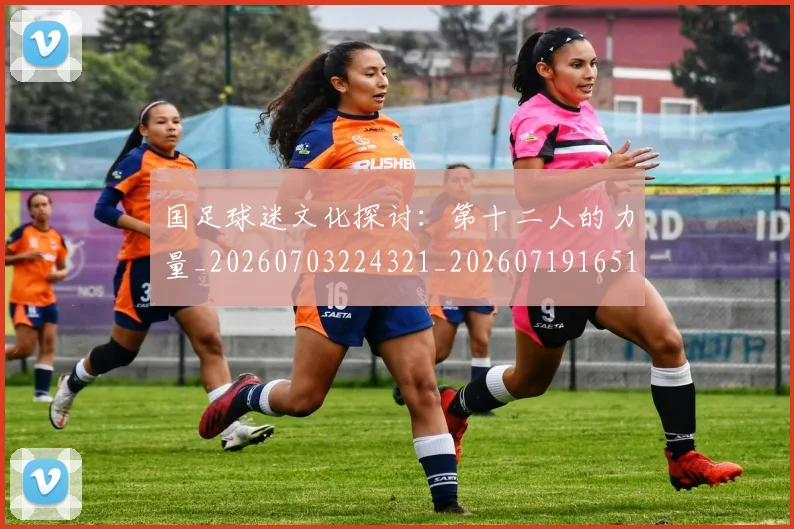 国足球迷文化探讨:第十二人的力量_20260703224321_20260719165125